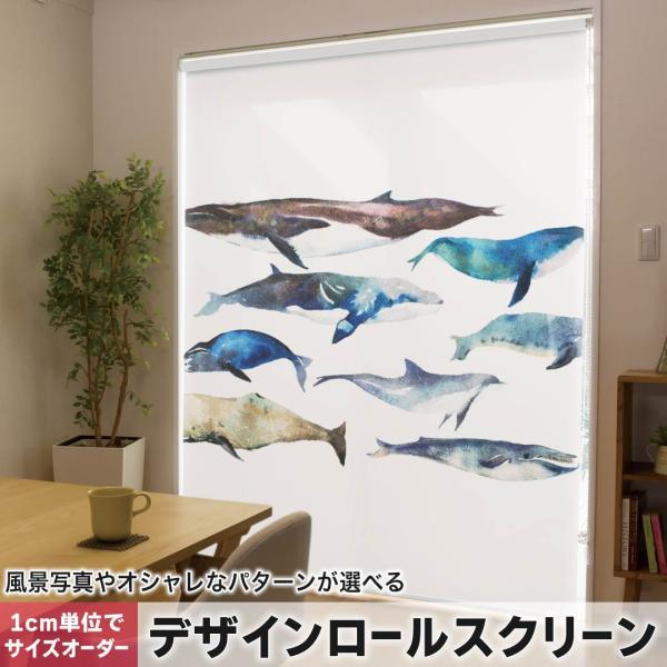 [XN[ [J[e I[_[Ch fUC 015836  @C@@V`