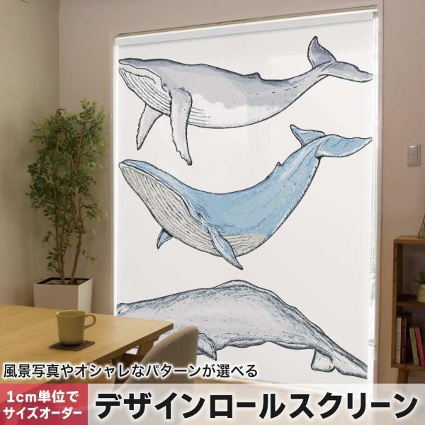 [XN[ [J[e I[_[Ch fUC 015851  @@C