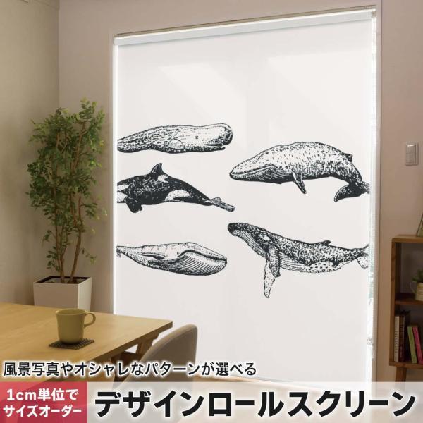 [XN[ [J[e I[_[Ch fUC 016054  @V`@