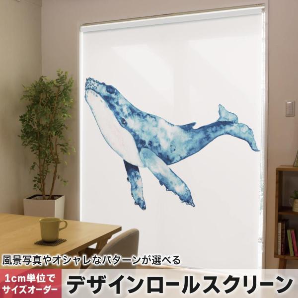 [XN[ [J[e I[_[Ch fUC 017506 Aj} @~@C