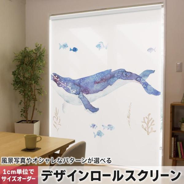 [XN[ [J[e I[_[Ch fUC 017806 C̒@ @C̒@