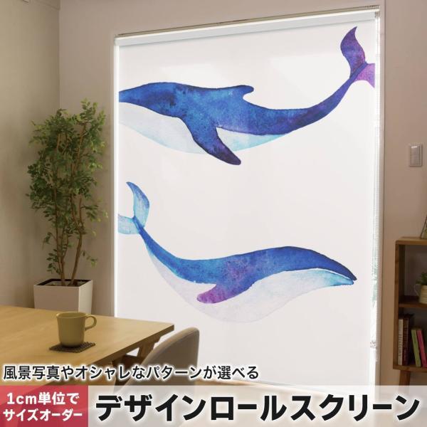 [XN[ [J[e I[_[Ch fUC 018991 CXg NW C