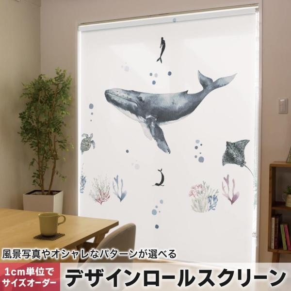 [XN[ [J[e I[_[Ch fUC 019001 CXg NW