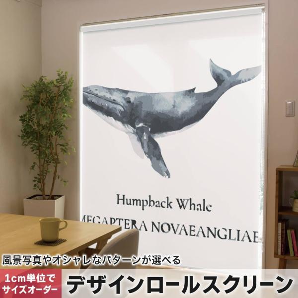 [XN[ [J[e I[_[Ch fUC 019740 fUC C̐ UgENW Humpback whale