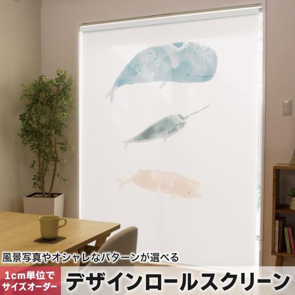 [XN[ [J[e I[_[Ch fUC 019914 C̐  CbJN 邩