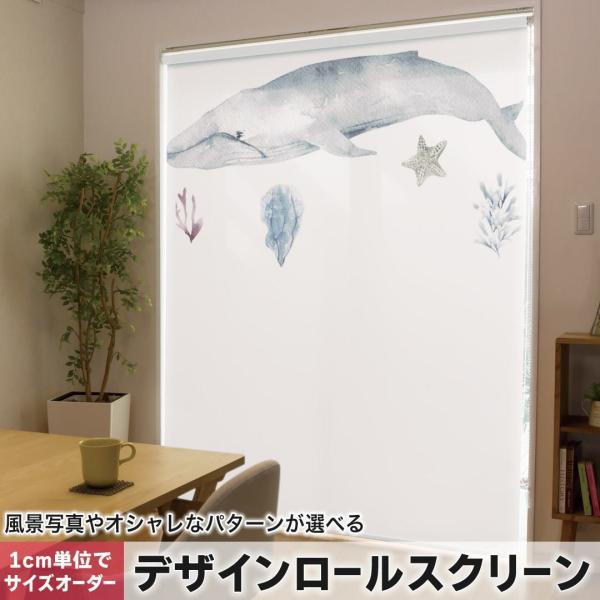 [XN[ [J[e I[_[Ch fUC 019930 C̐ C̐ 