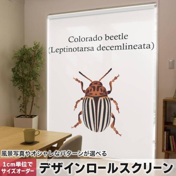 ���[���X�N���[�� ���[���J�[�e�� �I�[�_�[���C�h �f�U�C�� 020022 �� �� colorado beetle �R�����h�n���V