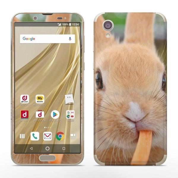 igsticker SH-01L SHV43  AQUOS sense2 Ή ANIX docomo hR SʃXLV[ t XebJ[ @@ʐ^ 002807