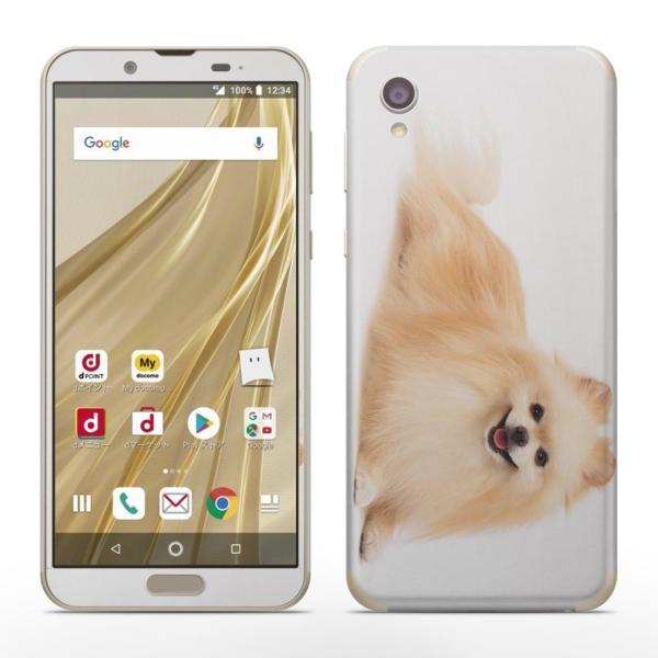 igsticker SH-01L SHV43 ���� AQUOS sense2 �Ή� �A�N�I�X docomo �h�R�� �S�ʃX�L���V�[�� �t�� �X�e�b�J�[ ���@�����@�ʐ^ 002911