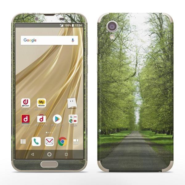 igsticker SH-01L SHV43 ���� AQUOS sense2 �Ή� �A�N�I�X docomo �h�R�� �S�ʃX�L���V�[�� �t�� �X�e�b�J�[ �ʐ^�@�ā@���ؓ� 005918