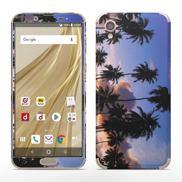 igsticker SH-01L SHV43  AQUOS sense2 Ή ANIX docomo hR SʃXLV[ t XebJ[ V̖؁@@ʐ^ 010821