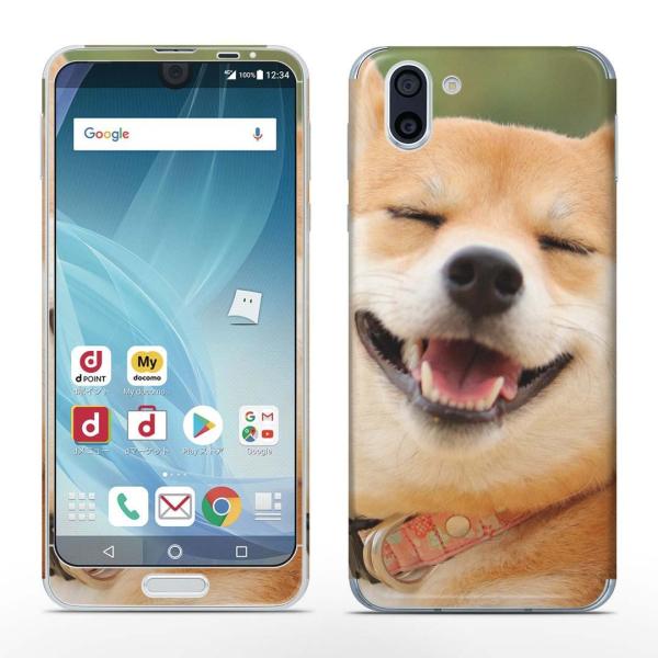 igsticker SH-03K AQUOS R2 Ή ANIX docomo SʃXLV[ t  @Č 000926