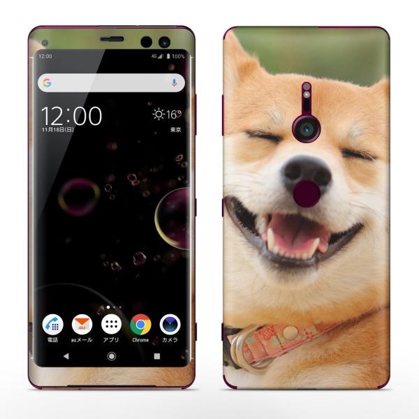 igsticker Xperia XZ3 SO-01L SOV39 801SO eΉ docomo au softbank GNXyA SʃXLV[ t @Č 000926