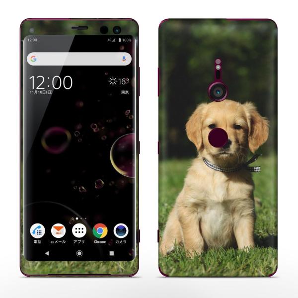 igsticker Xperia XZ3 SO-01L SOV39 801SO �e�Ή� docomo au softbank �G�N�X�y���A �S�ʃX�L���V�[�� �t�� ���@�����@�ʐ^ 002580