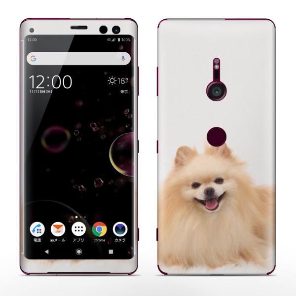 igsticker Xperia XZ3 SO-01L SOV39 801SO �e�Ή� docomo au softbank �G�N�X�y���A �S�ʃX�L���V�[�� �t�� ���@�����@�ʐ^ 002912