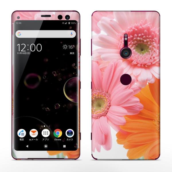 igsticker Xperia XZ3 SO-01L SOV39 801SO �e�Ή� docomo au softbank �G�N�X�y���A �S�ʃX�L���V�[�� �t�� �ԁ@�t�����[�@�ʐ^ 005378