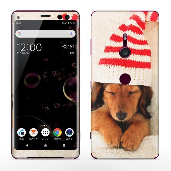 igsticker Xperia XZ3 SO-01L SOV39 801SO eΉ docomo au softbank GNXyA SʃXLV[ t ʐ^@@Xq@ԁ@bh 008439
