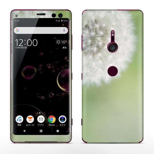 igsticker Xperia XZ3 SO-01L SOV39 801SO �e�Ή� docomo au softbank �G�N�X�y���A �S�ʃX�L���V�[�� �t�� �ʐ^�@����ۂہ@�ԁ@�t�����[ 008884