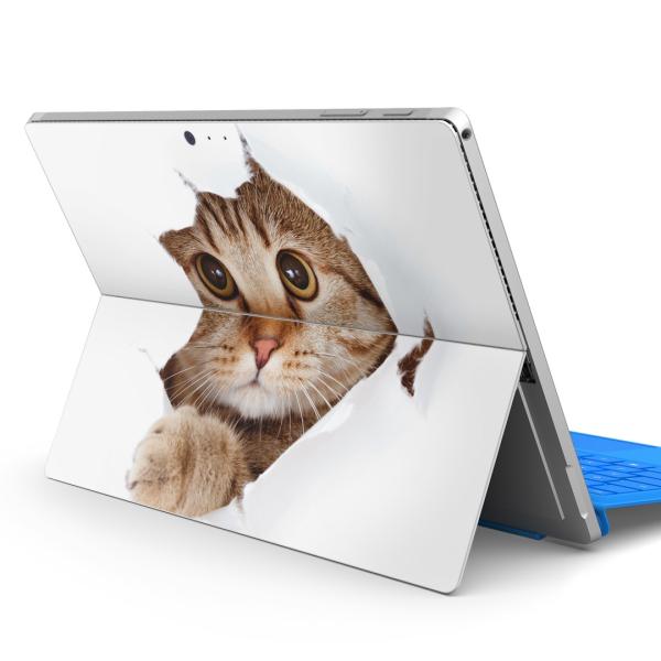 Surface pro7 (2019) pro6 pro2017 pro4pXLV[ Microsoft T[tFX  L@@ʐ^ 002783
