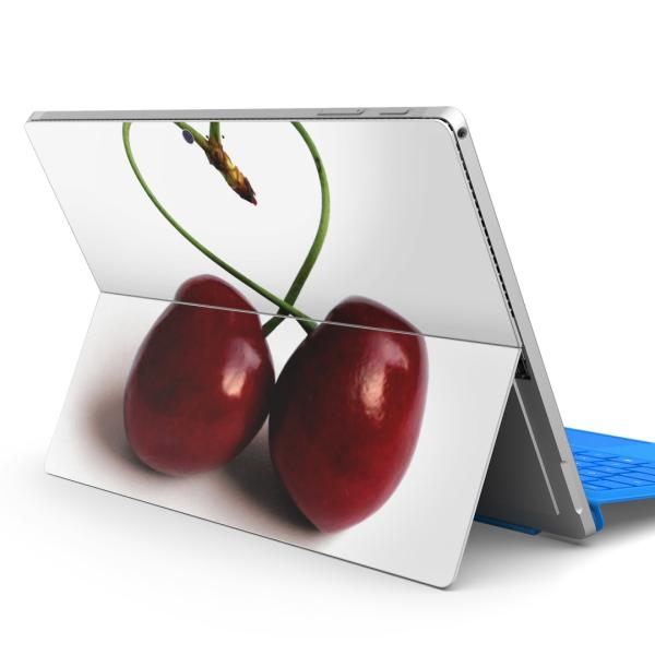 Surface pro7 (2019) pro6 pro2017 pro4pXLV[ Microsoft T[tFX  ʕ@n[g@ʐ^ 002788