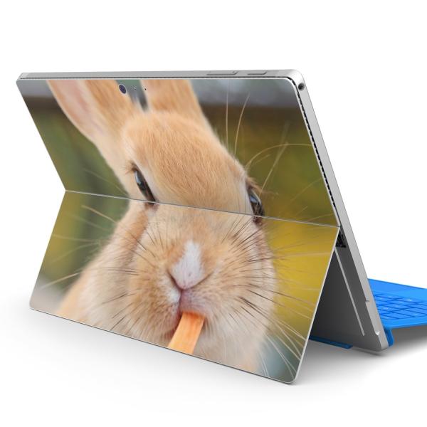 Surface pro7 (2019) pro6 pro2017 pro4pXLV[ Microsoft T[tFX  @@ʐ^ 002807