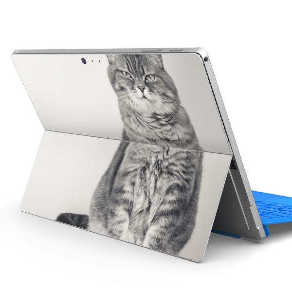 Surface pro7 (2019) pro6 pro2017 pro4pXLV[ Microsoft T[tFX  L@@ʐ^ 002901