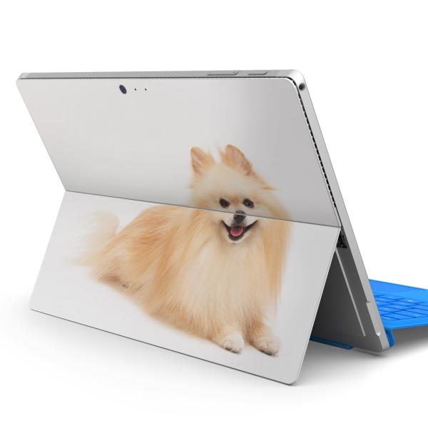 Surface pro7 (2019) pro6 pro2017 pro4pXLV[ Microsoft T[tFX  @@ʐ^ 002911