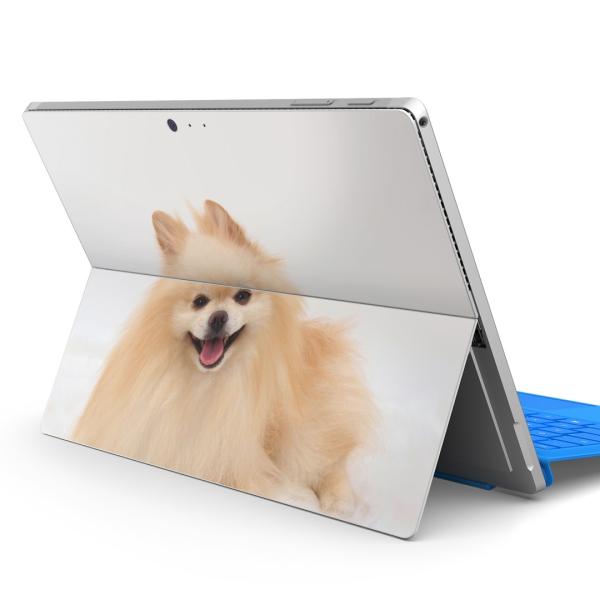 Surface pro7 (2019) pro6 pro2017 pro4pXLV[ Microsoft T[tFX  @@ʐ^ 002912