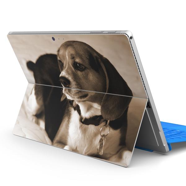 Surface pro7 (2019) pro6 pro2017 pro4pXLV[ Microsoft T[tFX  ʐ^@ZsA@ 008194