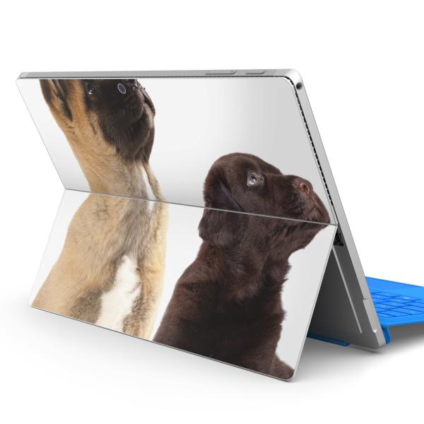 Surface pro7 (2019) pro6 pro2017 pro4pXLV[ Microsoft T[tFX  ʐ^@@L 008364