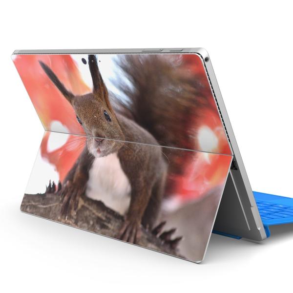 Surface pro7 (2019) pro6 pro2017 pro4pXLV[ Microsoft T[tFX  ~@@X@gt 014830