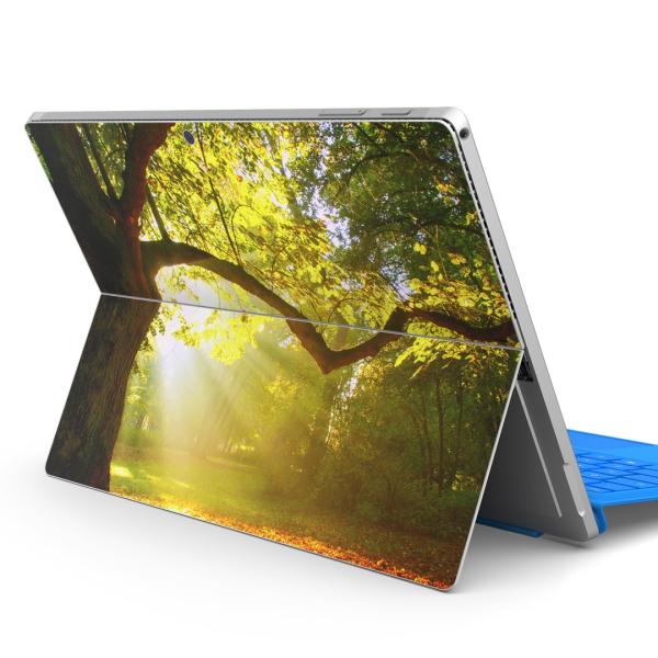 Surface pro7 (2019) pro6 pro2017 pro4pXLV[ Microsoft T[tFX  iF@R@i@ʐ^@؁@ 014991