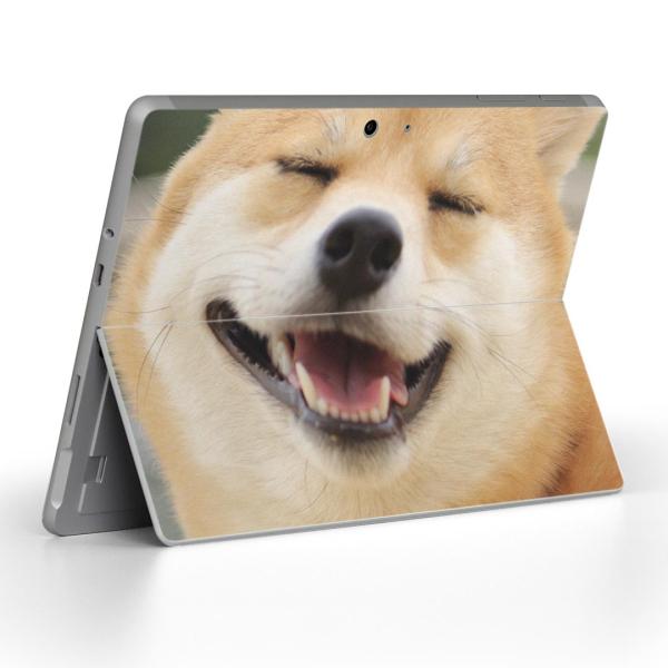 Surface Go pXLV[ Microsoft T[tFX T[tBX m[gp\R Jo[ tB XebJ[  @Č 000926