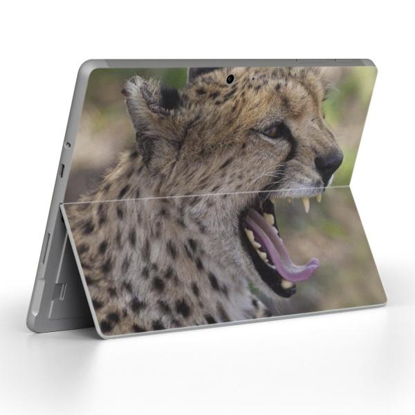 Surface Go pXLV[ Microsoft T[tFX T[tBX m[gp\R Jo[ tB XebJ[  @ʐ^@^ 002582