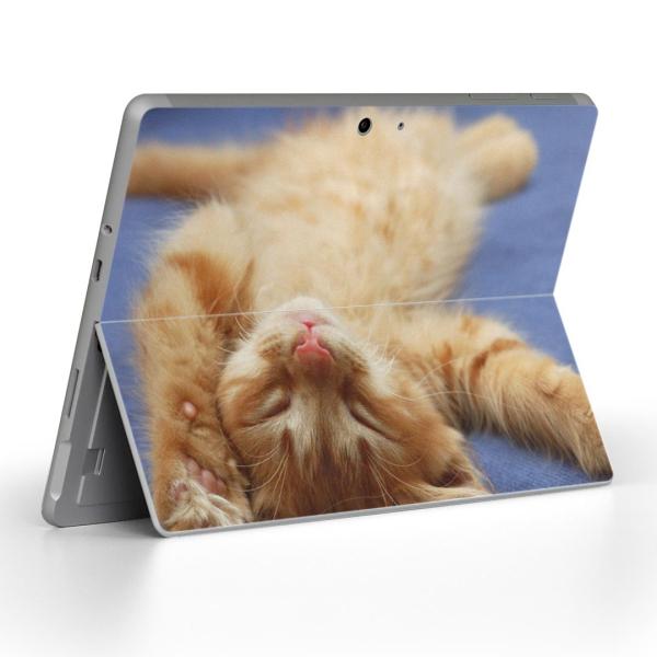 Surface Go pXLV[ Microsoft T[tFX T[tBX m[gp\R Jo[ tB XebJ[  L@@ʐ^ 002759