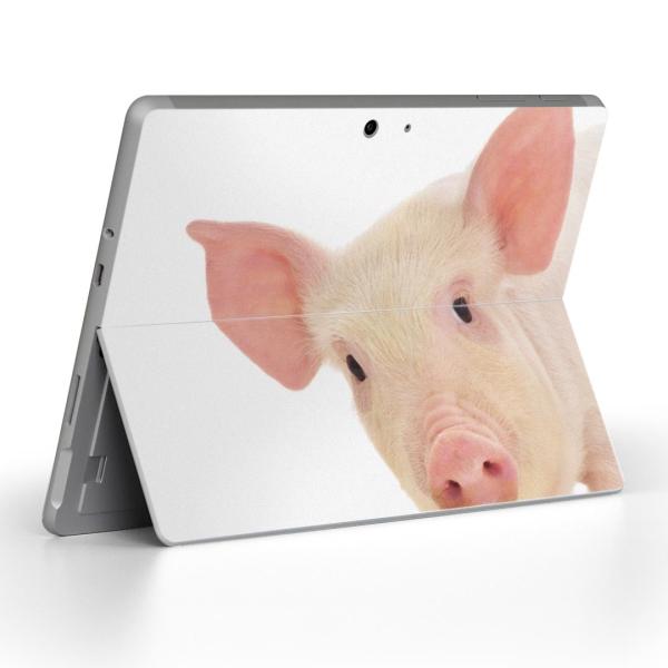 Surface Go pXLV[ Microsoft T[tFX T[tBX m[gp\R Jo[ tB XebJ[  Ԃ@@ʐ^ 002775