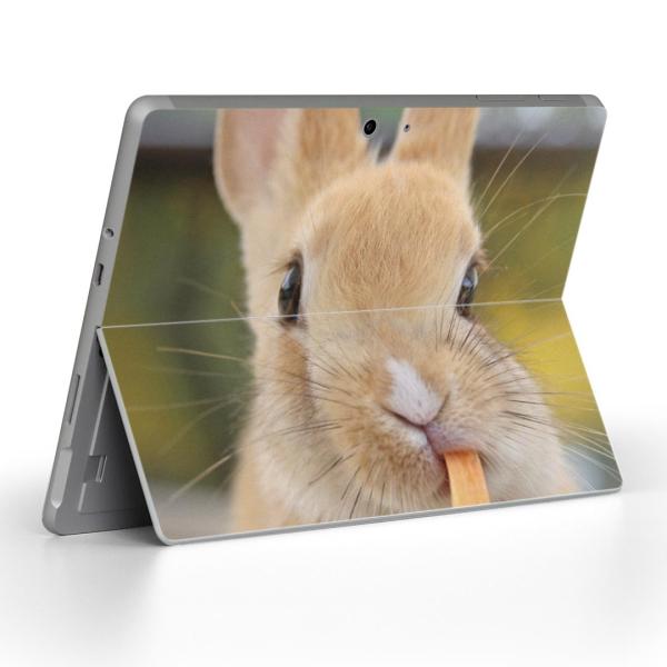 Surface Go pXLV[ Microsoft T[tFX T[tBX m[gp\R Jo[ tB XebJ[  @@ʐ^ 002807