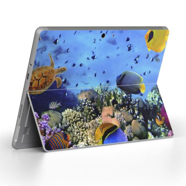 Surface Go pXLV[ Microsoft T[tFX T[tBX m[gp\R Jo[ tB XebJ[  C@ʐ^@Jt 002823