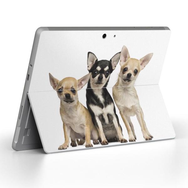 Surface Go pXLV[ Microsoft T[tFX T[tBX m[gp\R Jo[ tB XebJ[  @@ʐ^ 002885