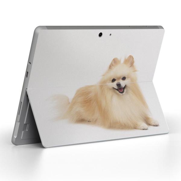 Surface Go pXLV[ Microsoft T[tFX T[tBX m[gp\R Jo[ tB XebJ[  @@ʐ^ 002911