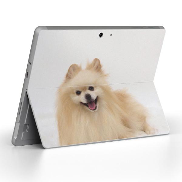 Surface Go pXLV[ Microsoft T[tFX T[tBX m[gp\R Jo[ tB XebJ[  @@ʐ^ 002912