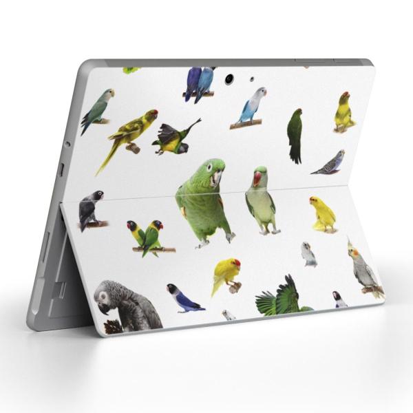 Surface Go pXLV[ Microsoft T[tFX T[tBX m[gp\R Jo[ tB XebJ[  @@ʐ^ 003163