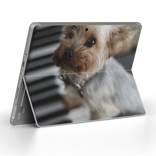 Surface Go pXLV[ Microsoft T[tFX T[tBX m[gp\R Jo[ tB XebJ[  @ʐ^@sAm 004565