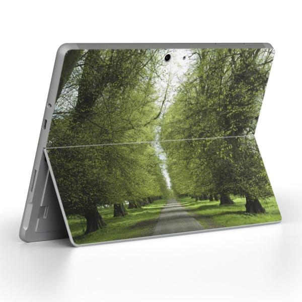 Surface Go pXLV[ Microsoft T[tFX T[tBX m[gp\R Jo[ tB XebJ[  ʐ^@ā@ؓ 005918