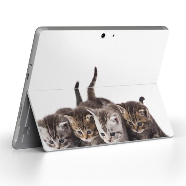 Surface Go ��p�X�L���V�[�� Microsoft �T�[�t�F�X �T�[�t�B�X �m�[�g�p�\�R�� �J�o�[ �t�B���� �X�e�b�J�[  �ʐ^�@�����@�L�@�˂� 005928