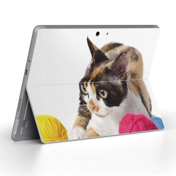 Surface Go pXLV[ Microsoft T[tFX T[tBX m[gp\R Jo[ tB XebJ[  ʐ^@@L@˂ 005939