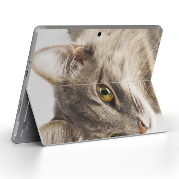 Surface Go pXLV[ Microsoft T[tFX T[tBX m[gp\R Jo[ tB XebJ[  ʐ^@@˂ 006477