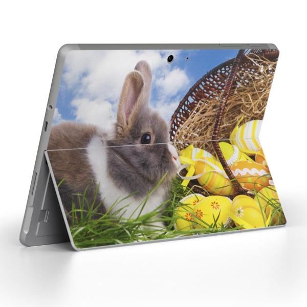 Surface Go pXLV[ Microsoft T[tFX T[tBX m[gp\R Jo[ tB XebJ[  ʐ^@@ 006581