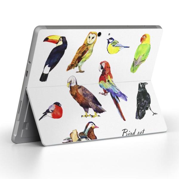 Surface Go pXLV[ Microsoft T[tFX T[tBX m[gp\R Jo[ tB XebJ[  @Jt@bard 014764