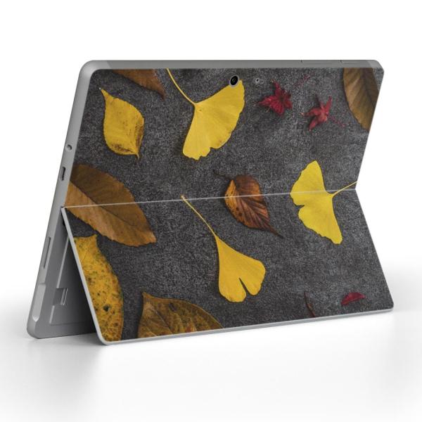 Surface Go pXLV[ Microsoft T[tFX T[tBX m[gp\R Jo[ tB XebJ[  tρ@H@t@gt 014832